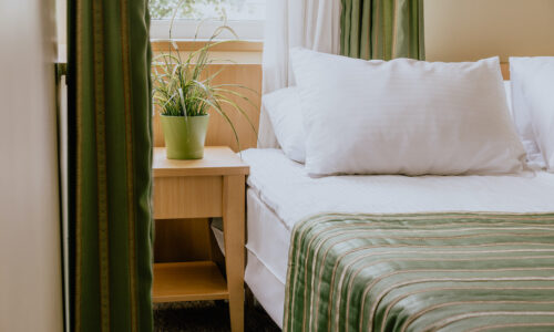 A small hotel room with a double bed and a bedside table under the window decorated with a plant